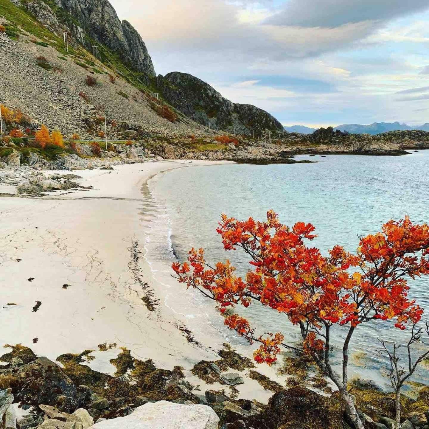Lofotparadis - Nydelig Hytte Pa Unikt Sted Valberg Exterior foto